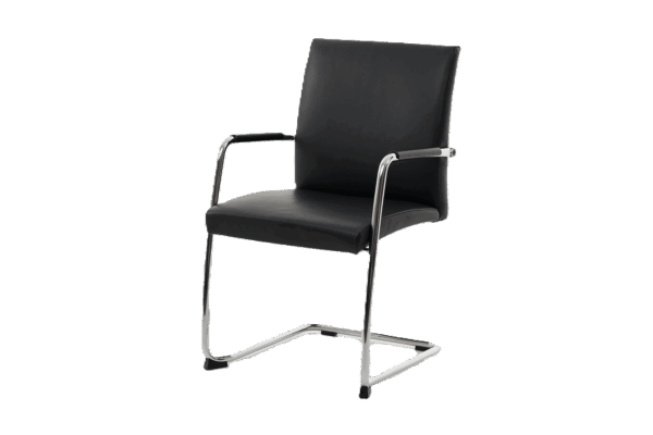 Spiegels Pablo Freischwinger Leder / schwarz