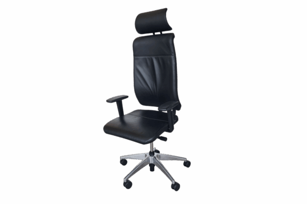 Girsberger Reflex mit Kopfstütze / Leder / Schwarz