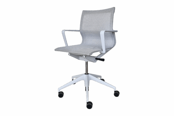Vitra Physix Bürodrehstuhl / grau