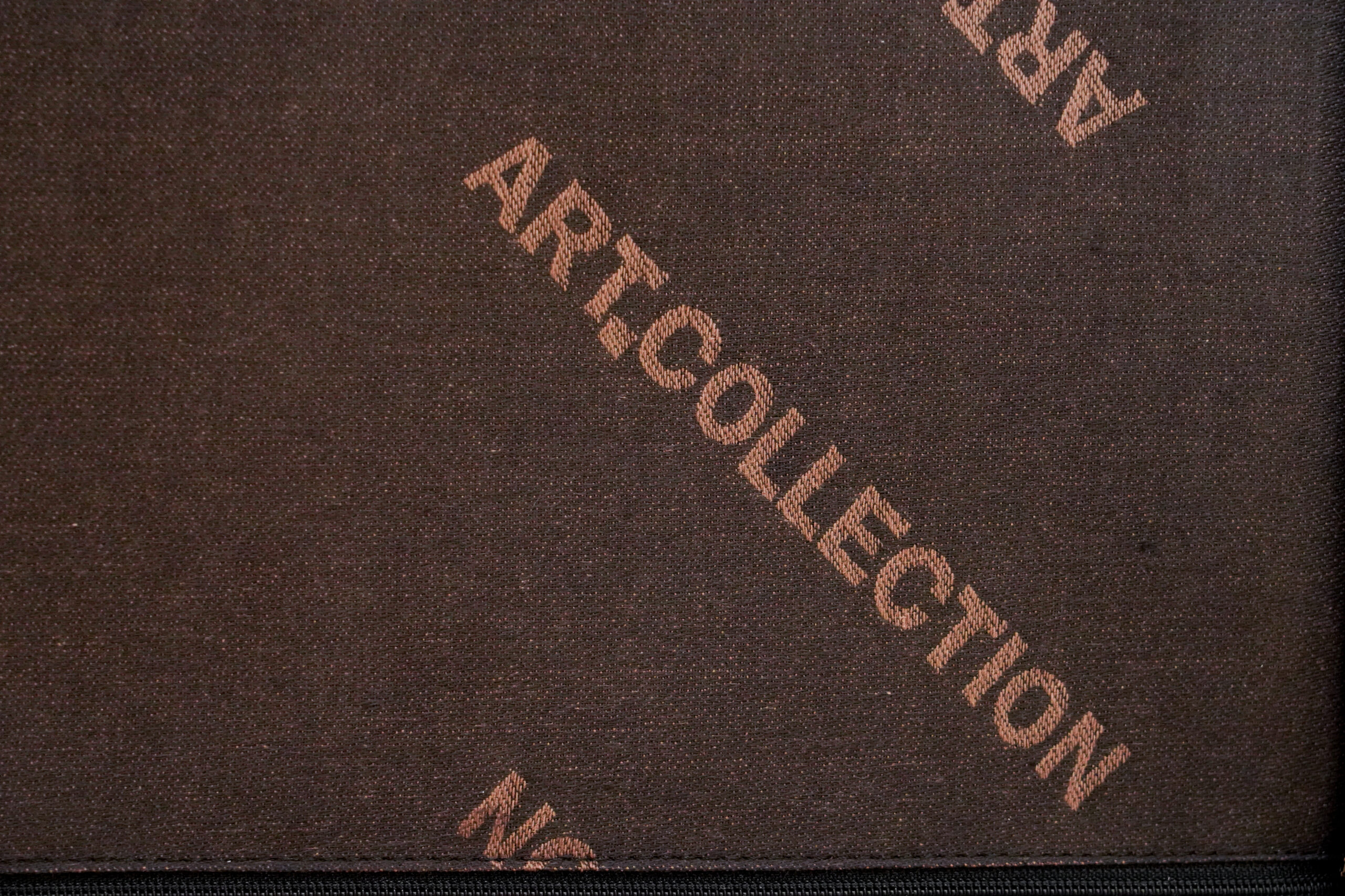 Art.Collection Dialog Freischwinger Leder / schwarz – Bild 8